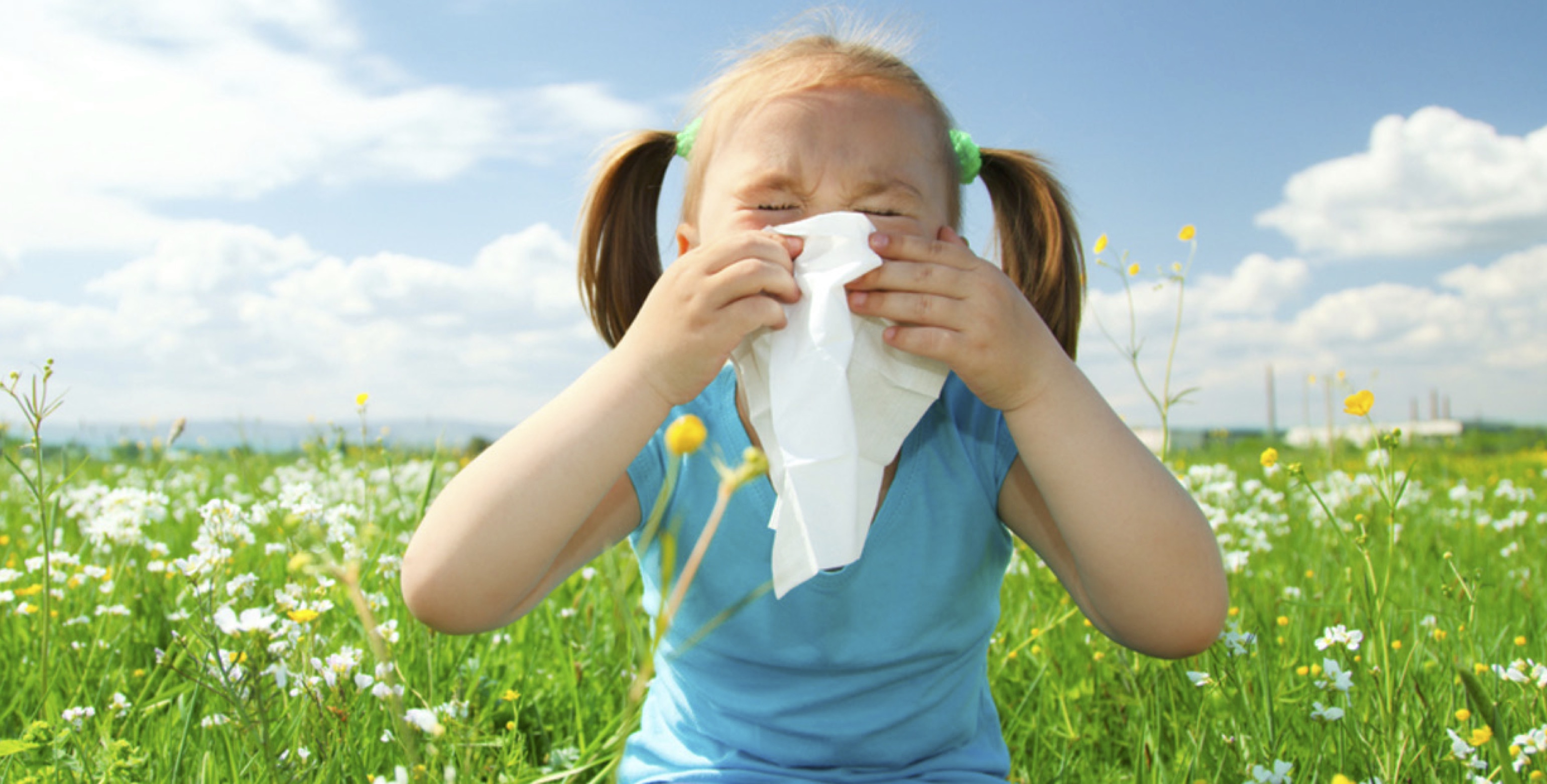 child hay fever